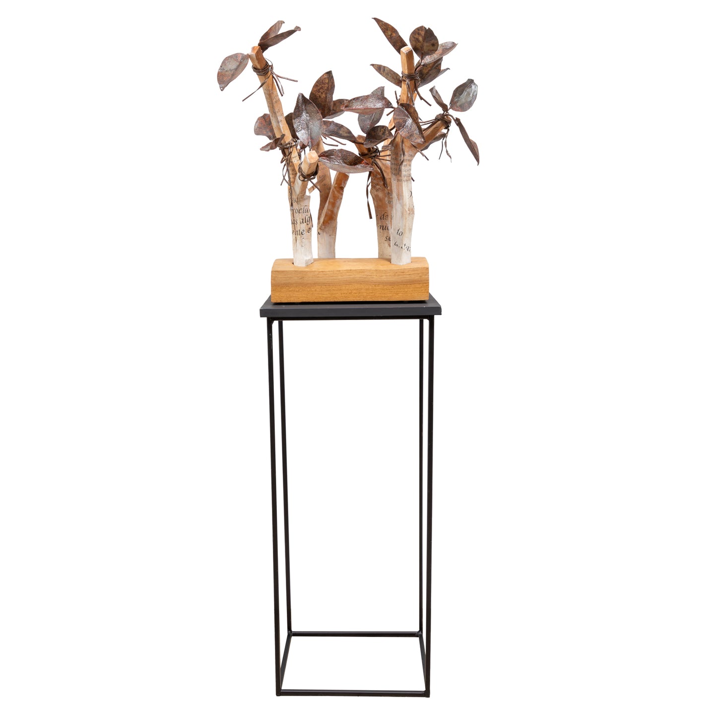 Carlos Ramos (n. 1960), Mensagem, 2024